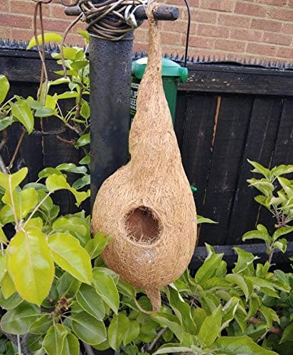 Bird nest natural coir fiber and coconut shell - HalfPe