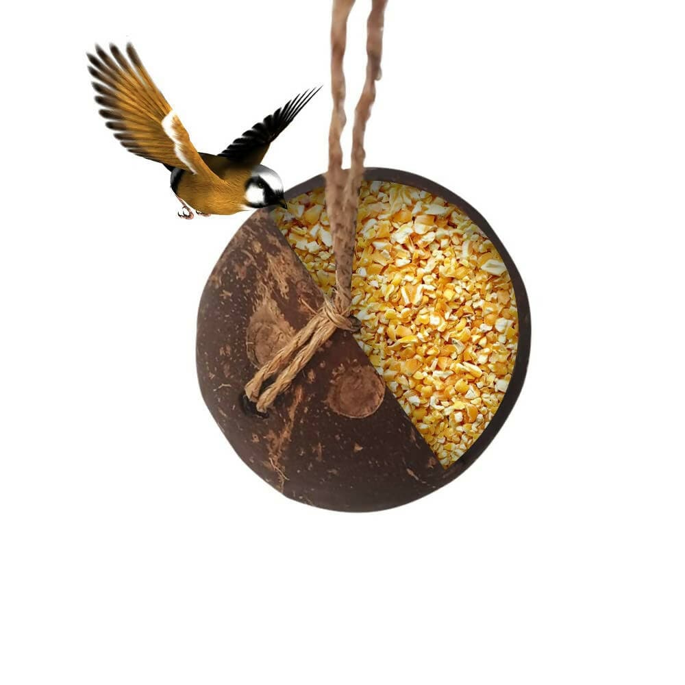 Mats Avenue Hand Crafted Open Bird Feeder Cum Hanging Pot for Indoor Plants - HalfPe