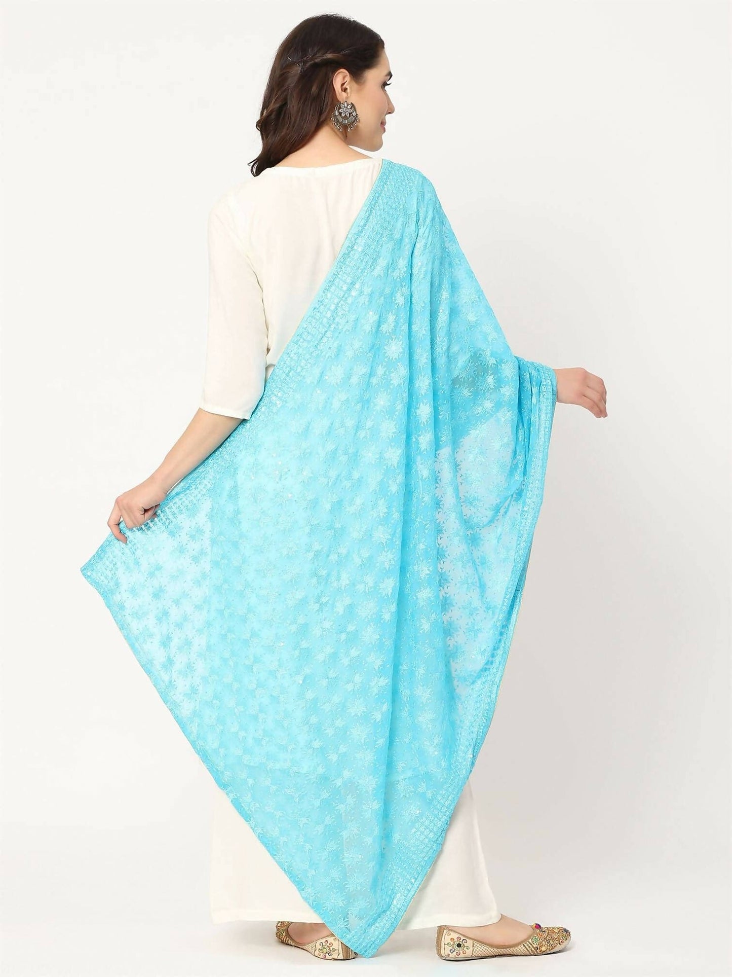 Blue Sequined Phulkari Embroidery - HalfPe