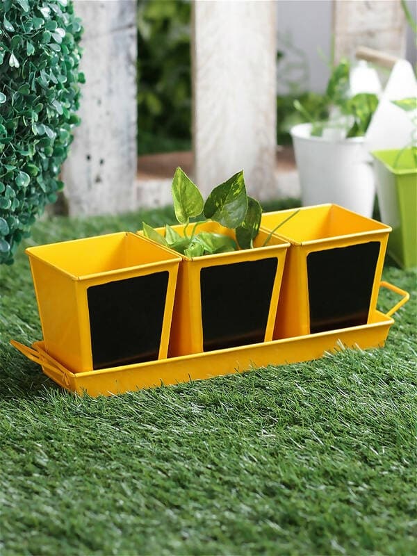 Chalk Board Painted Herb Pots Yellow (Set Of Three ) - HalfPe