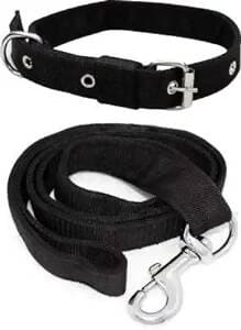 Nylon pp Collar and Leash - HalfPe