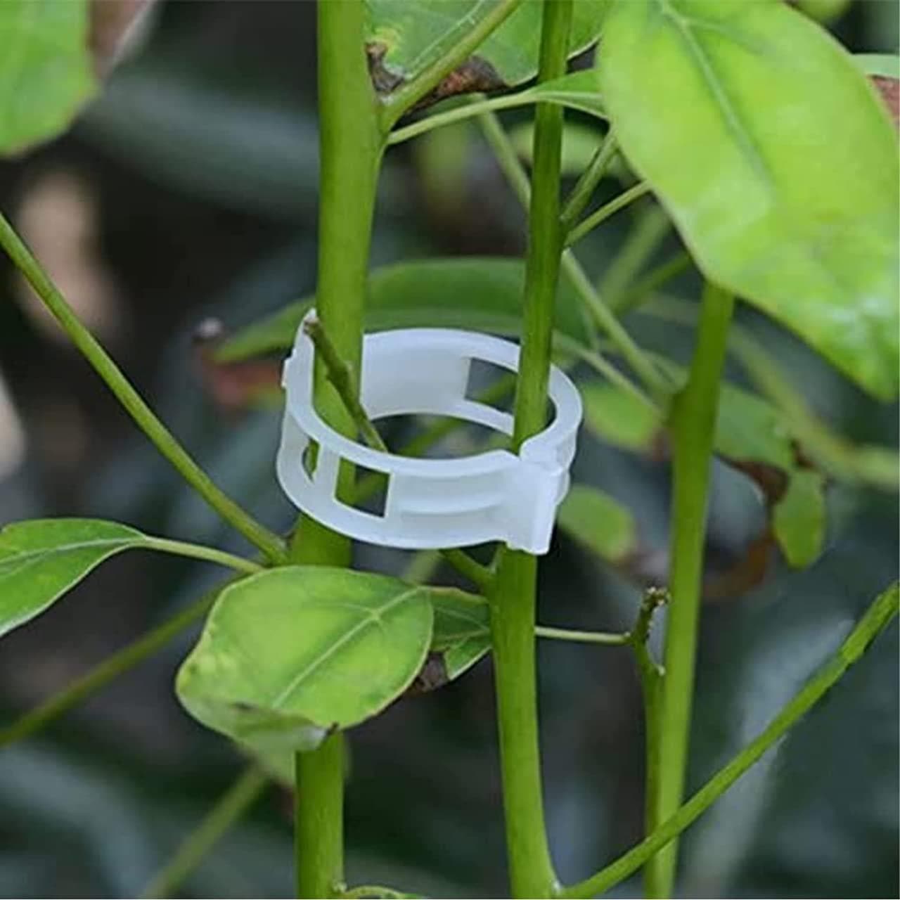 ecofynd 200 pcs plant support garden clips, garden trellis clips, tomato trellis clips for vine, vegetables, beans, fruits, flower to grow upright and healthier - halfpeapp