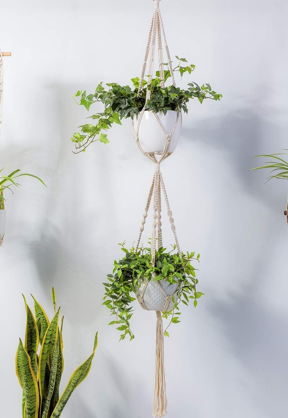 ecofynd Cotton Rope 2 Pot Flower Plant Hanger (M16, Ivory, 59 Inches) - halfpeapp