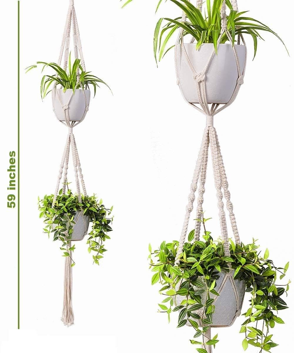 ecofynd Cotton Rope 2 Pot Flower Plant Hanger (M16, Ivory, 59 Inches) - halfpeapp