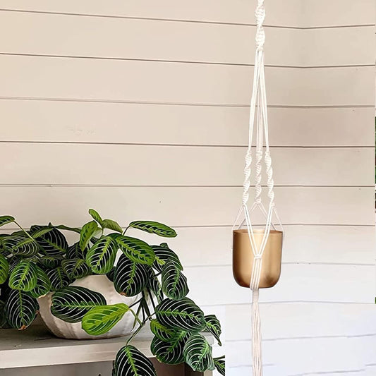 ecofynd Cotton Rope Boho Plant Hanger Without Pot (M21, Ivory, 39 Inches) - halfpeapp