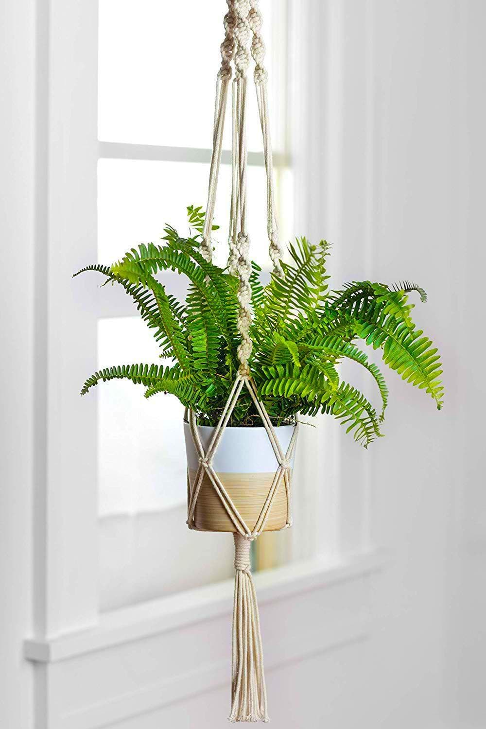 ecofynd Macrame Plant Hanger, Flower Pot Holder, Ivory, 39 inches, Pack of 1 - halfpeapp