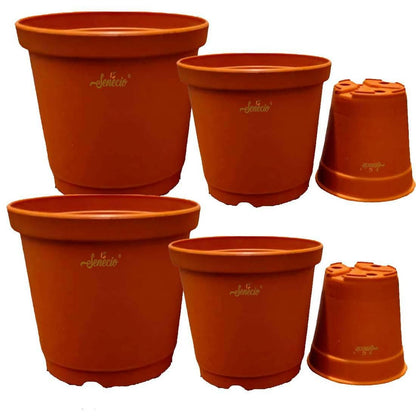 SENECIO Micro Mini Reusable Flower Nursery Pots (Pack of 6) - HalfPe