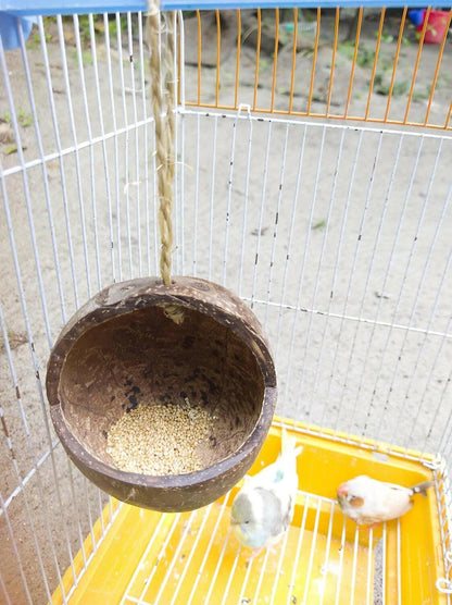 Mats Avenue Hand Crafted Open Bird Feeder Made of Coconut Shell - HalfPe