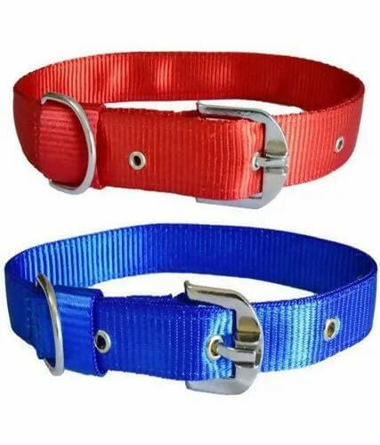 1 inch pp collar belt for your pets( 2pcs) - HalfPe