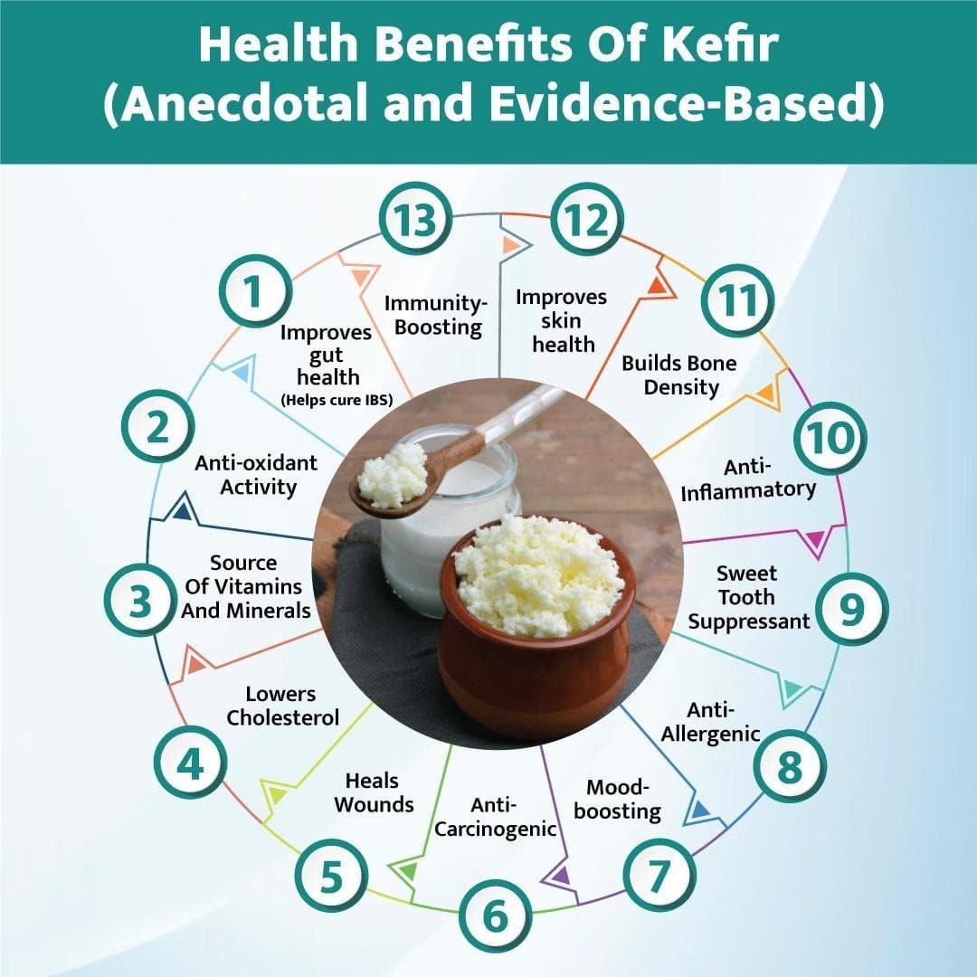 Hand-picked premium/large sized milk kefir grains (10g) with complementary large strainer, spoon & 1 starter culture powder sachet - halfpeapp