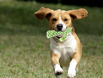 Petology Cotton Cactus Durable Chew Rope Toy for Small to Medium Dogs – Interactive Teething Rope Toy - HalfPe