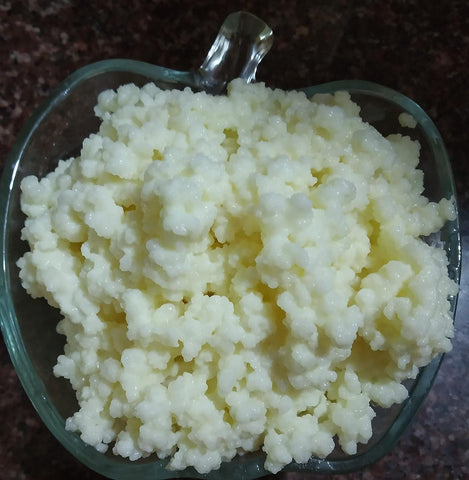 Milk kefir grains (15g) With complementary large strainer, spoon & 1 starter culture powder sachet - halfpeapp