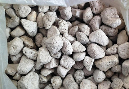 SENECIO Horticultural Pumice Stones - HalfPe