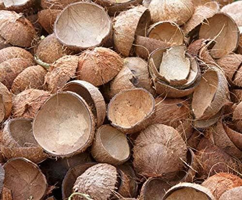 Natural coconut shells manually extracted for ganesh puja - HalfPe