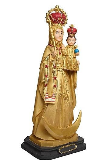 KariGhar® Our Lady of Velankanni I Our Lady of Good Health I Mother Velankanni 16 inches catholic idol perfect for Alter Prayer Room I Drawing Room I Bedroom I Gifting & Decoration. A0050 (5 x 6.5 x 16 INCH) - HalfPe