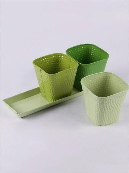 Set Of Three Herb Pots Green - HalfPe