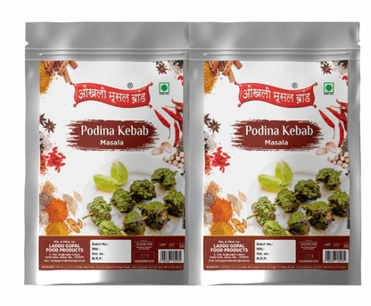 Podina kebab masala - 160g (pack of 2x 80g) |OKHLI MUSAL BRAND - halfpeapp