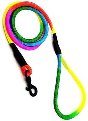 Rainbow Walking Rope for Dog - 18 mm - HalfPe