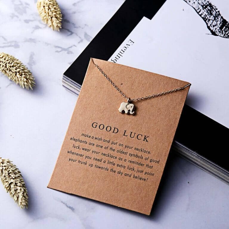 Pinapes Good Luck Charm Elephant Pendant Necklace with Wish Card for Women and Girls - HalfPe