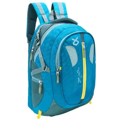 Large 40 L Laptop Backpack For School | College | Everyday Bag With Laptop Compartment (Sky Blue)  - HalfPe