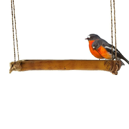 Mats Avenue Bird Feeder Hand Crafted Open Bamboo with Sisal Yarn Hanger and Metal Hooks for Birds (Brown) - HalfPe