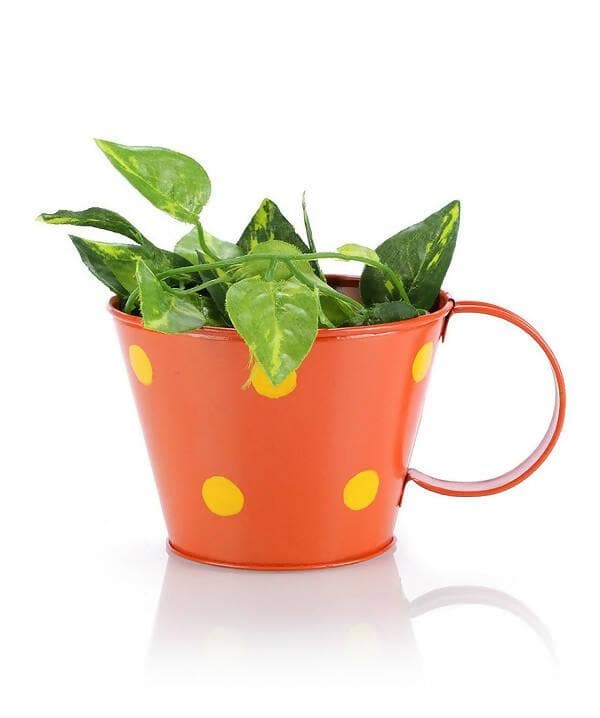 Polka Cup Small Orange - HalfPe