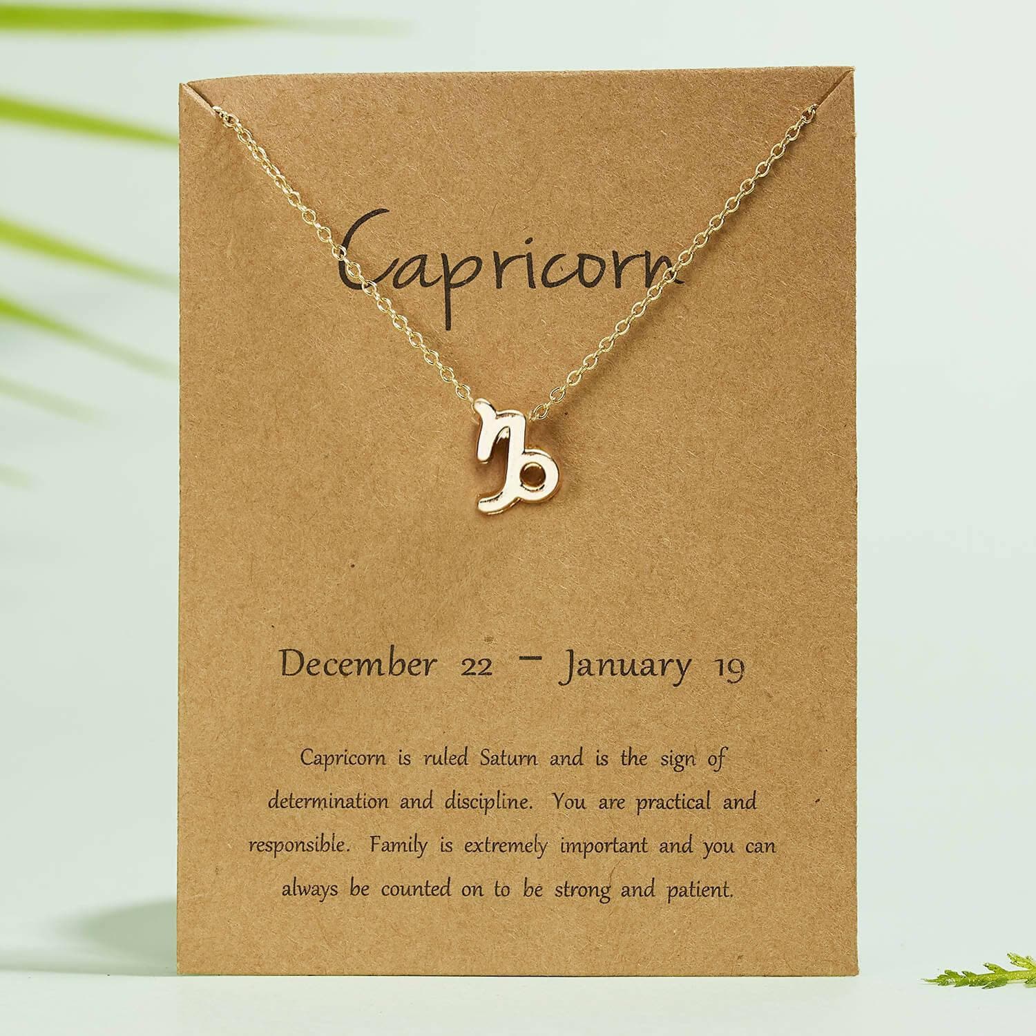 Pinapes Zodiac Star Sign Constellation Jewellery Necklace Pendant for Women and Girls capicron - HalfPe