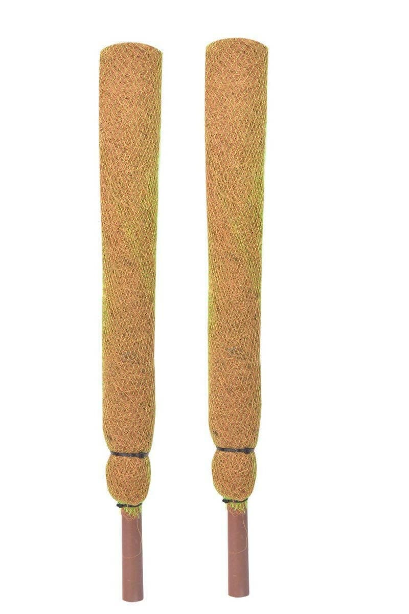 Mats Avenue Coco Pole Coir Stick Moss Stick for Indoor and Out Door Plant (Brown, 2 ft) (Pack of 2) - HalfPe