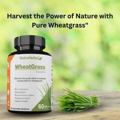 Wheatgrass capsules (60 pieces) | NUTRAHERBAL - halfpeapp