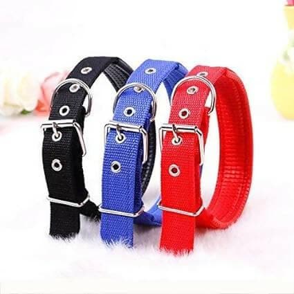 3/4inch dog color belt (3 pcs) - HalfPe